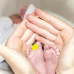 person holding baby's toe with yellow petaled flower in between